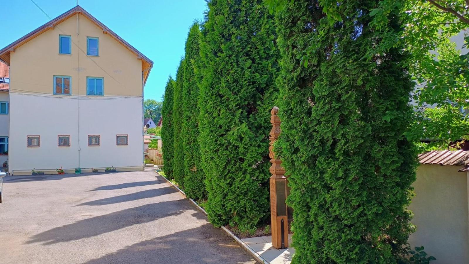 Hostel Centrul Gaudeamus Sighişoara Exterior foto